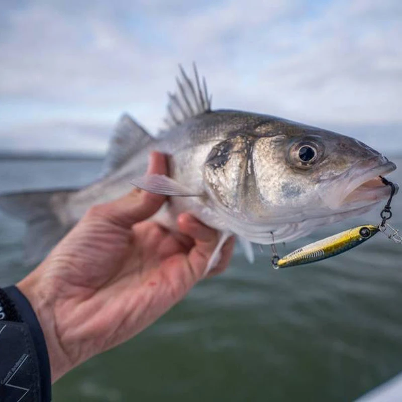 Mustad Mezashi Casting Jigs 20g